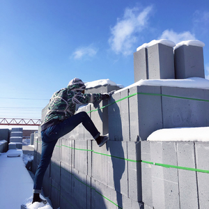 精东影业蛇精战败原因与影响解析
