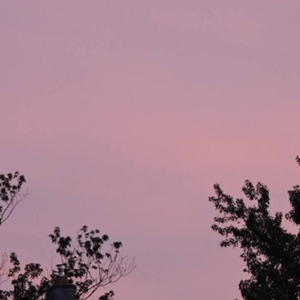 精东影业蛇精战败原因与影响解析
