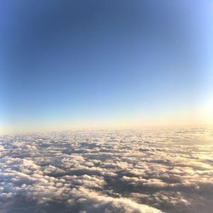 精东影业蛇精战败原因与影响解析
