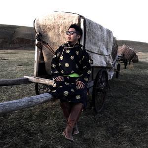 精东影业蛇精战败原因与影响解析
